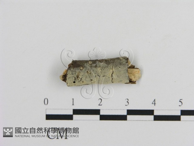 登錄號:F0002844藏品圖，第1張