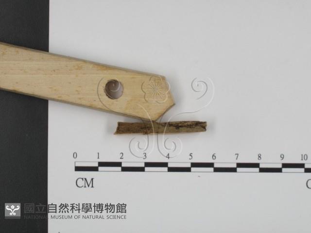 登錄號:F0017844藏品圖，第1張