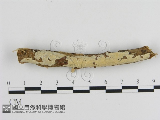 登錄號:F0002944藏品圖，第1張