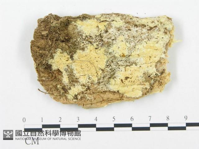 登錄號:F0013944藏品圖，第1張