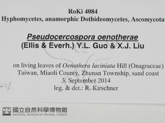 登錄號:F0028644藏品圖，第3張