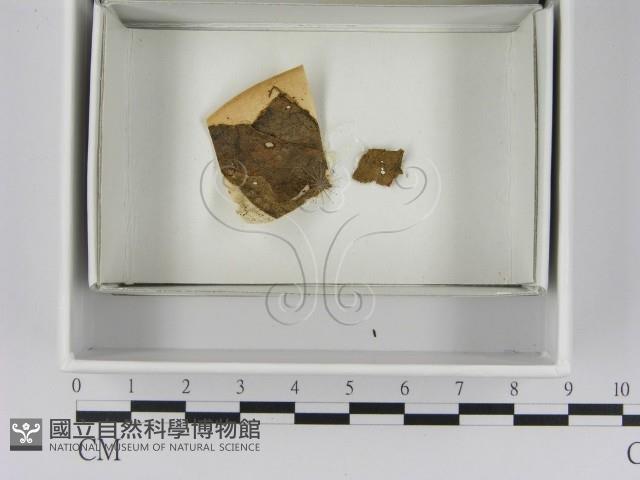 登錄號:F0021644藏品圖，第1張