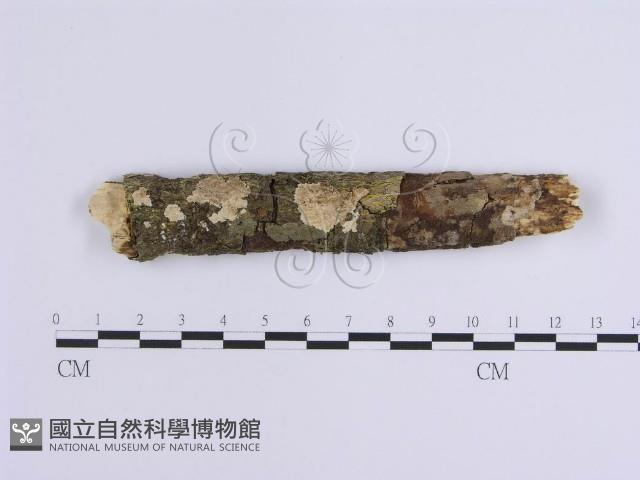 登錄號:F0001644藏品圖，第1張