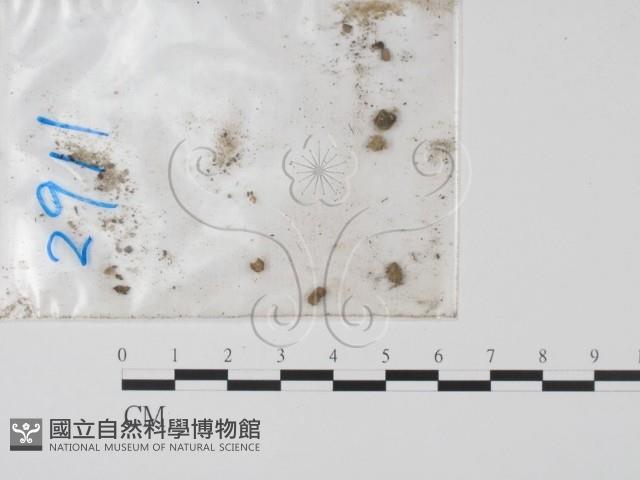 登錄號:F0011644藏品圖，第1張
