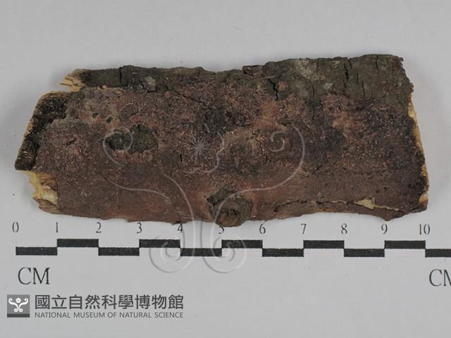 登錄號:F0029644藏品圖，第1張