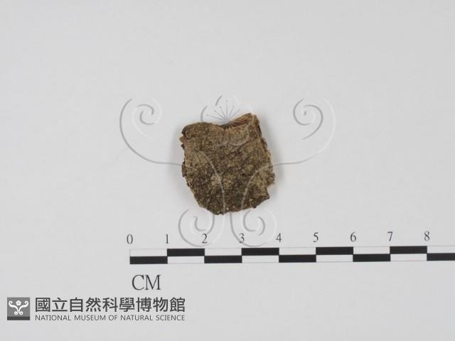 登錄號:F0019644藏品圖，第1張