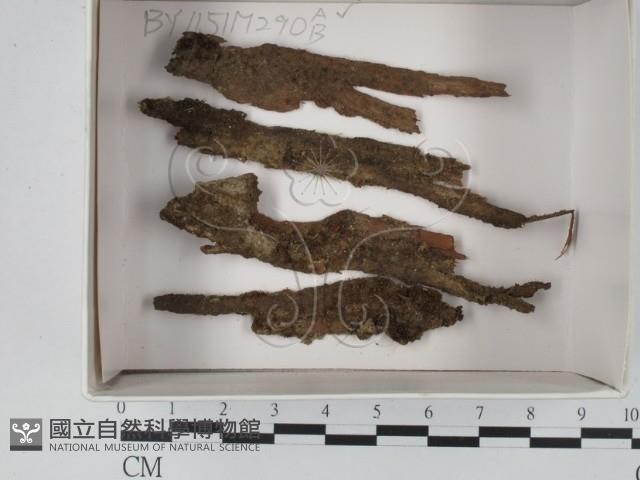 登錄號:F0018444藏品圖，第1張