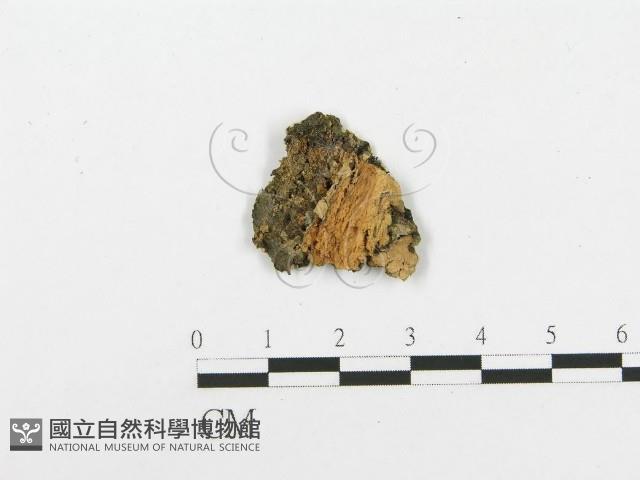 登錄號:F0020444藏品圖，第1張