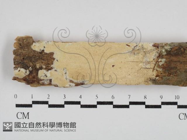 登錄號:F0030444藏品圖，第1張