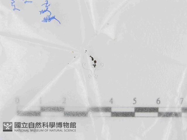 登錄號:F0021444藏品圖，第1張