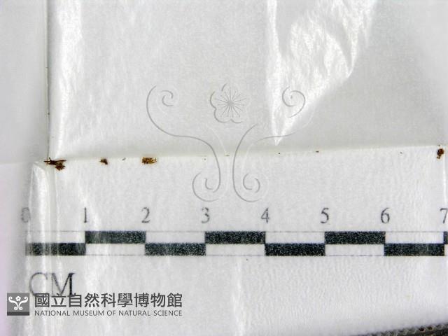 登錄號:F0001444藏品圖，第1張