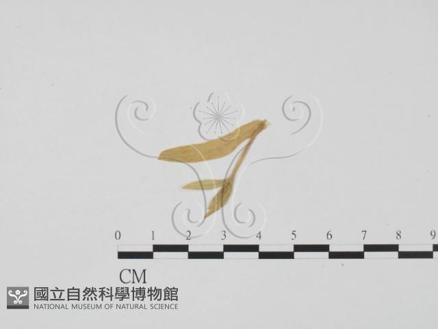 登錄號:F0011444藏品圖，第1張