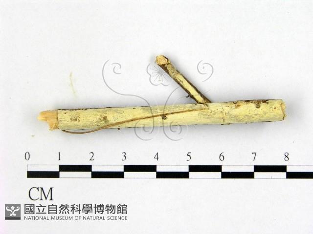 登錄號:F0022444藏品圖，第1張