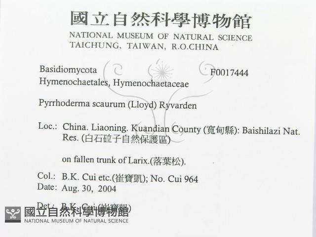 登錄號:F0017444藏品圖，第3張