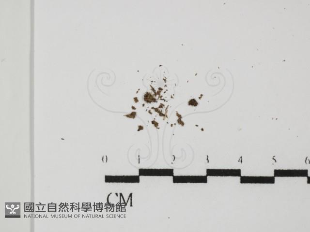 登錄號:F0000744藏品圖，第1張