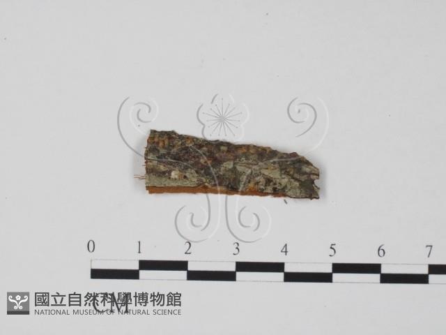 登錄號:F0011744藏品圖，第1張