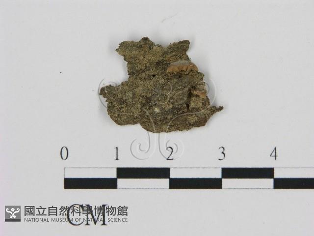 登錄號:F0004744藏品圖，第1張