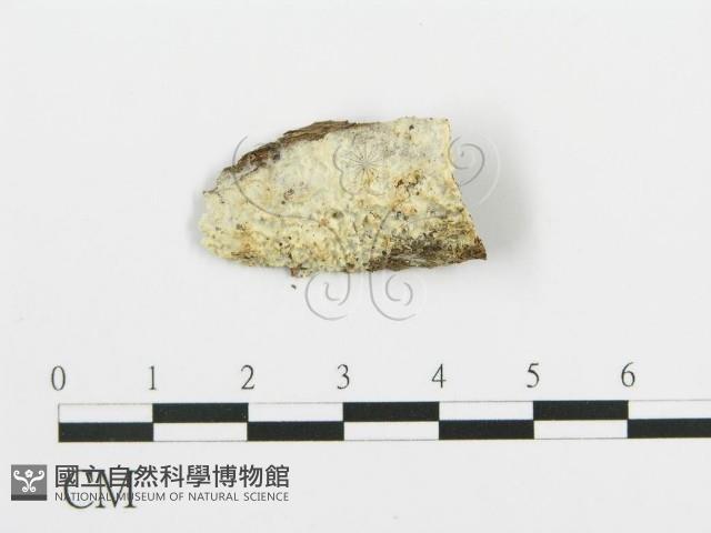 登錄號:F0014744藏品圖，第1張