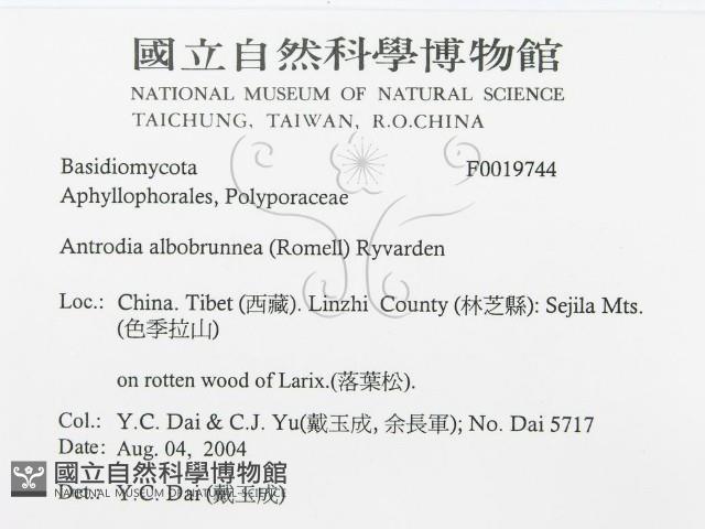 登錄號:F0019744藏品圖，第3張
