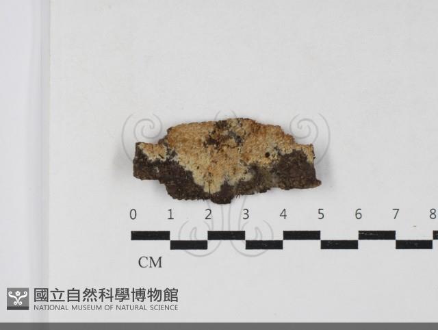 登錄號:F0033744藏品圖，第1張