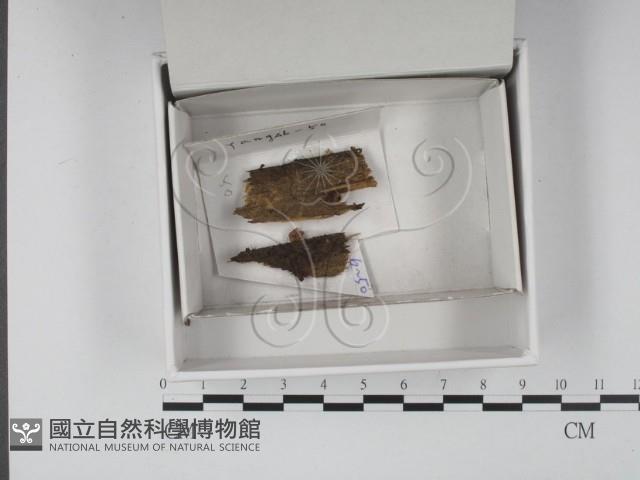 登錄號:F0020544藏品圖，第1張