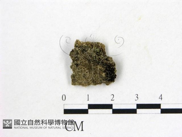 登錄號:F0004544藏品圖，第1張