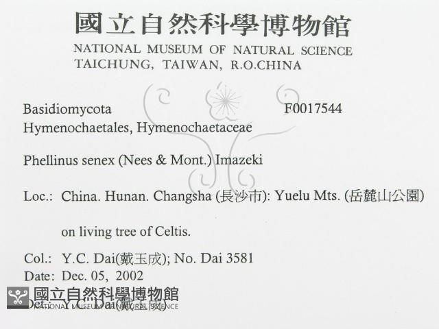 登錄號:F0017544藏品圖，第3張