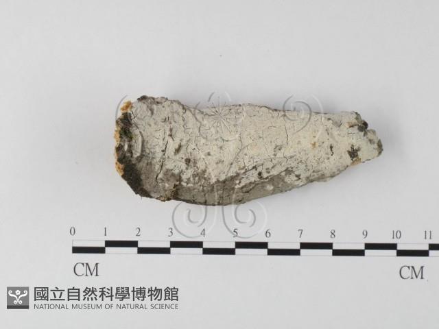 登錄號:F0025544藏品圖，第1張