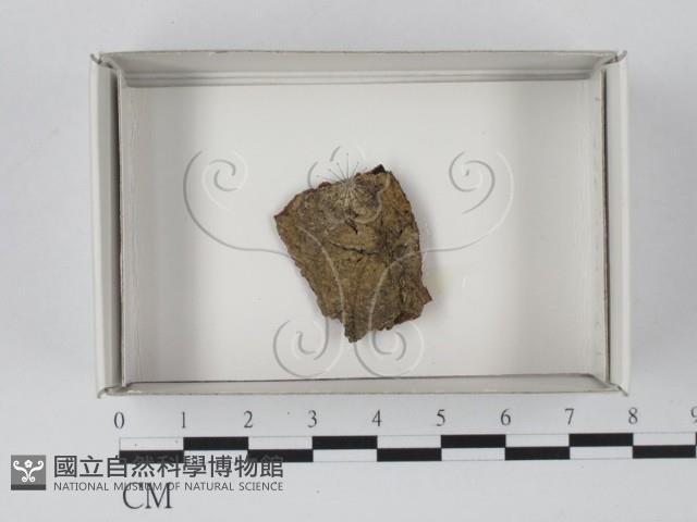 登錄號:F0018144藏品圖，第1張