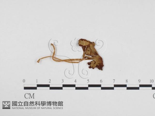 登錄號:F0024144藏品圖，第1張