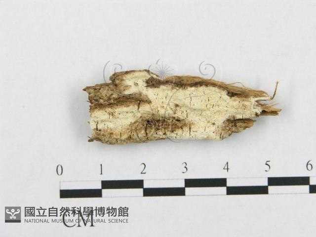 登錄號:F0007144藏品圖，第1張