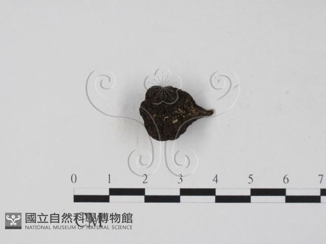 登錄號:F0005144藏品圖，第1張