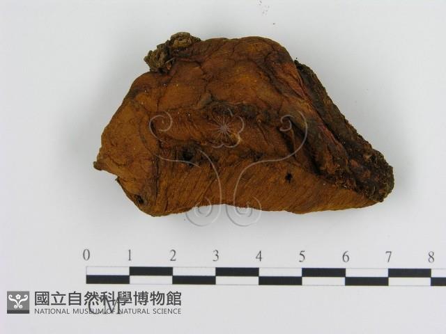 登錄號:F0008044藏品圖，第1張