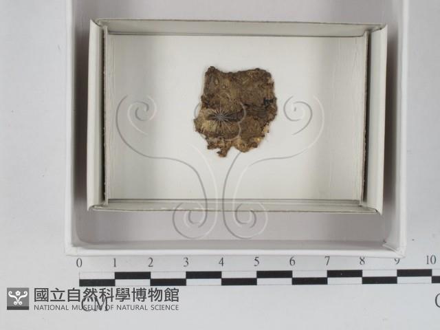 登錄號:F0018044藏品圖，第1張