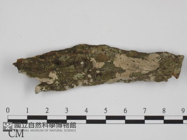 登錄號:F0004044藏品圖，第1張