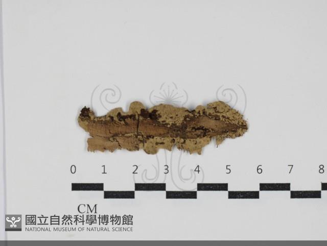 登錄號:F0034044藏品圖，第1張