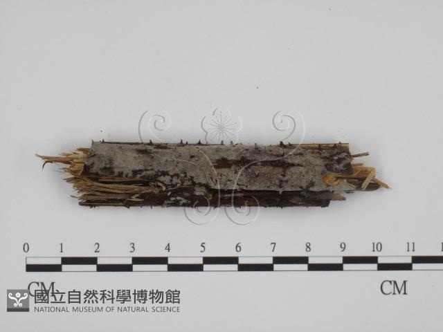 登錄號:F0022044藏品圖，第1張