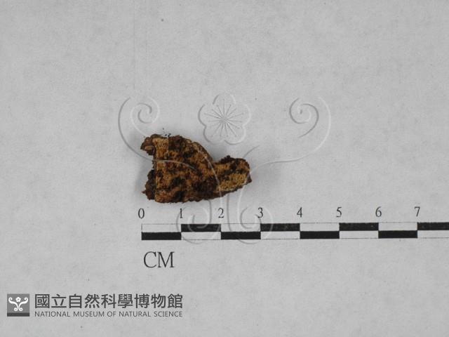 登錄號:F0027044藏品圖，第1張