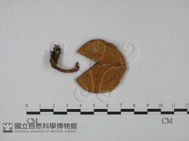 登錄號:F0023044藏品圖，第1張