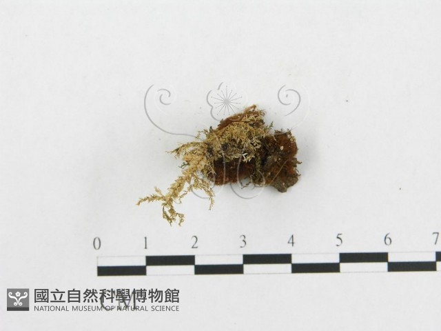 登錄號:F0003044藏品圖，第1張