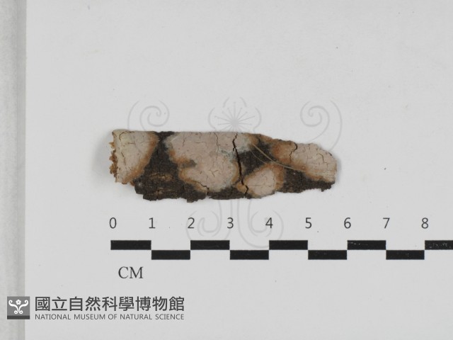 登錄號:F0033044藏品圖，第1張