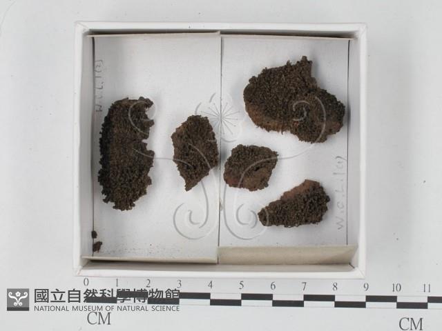 登錄號:F0021344藏品圖，第1張