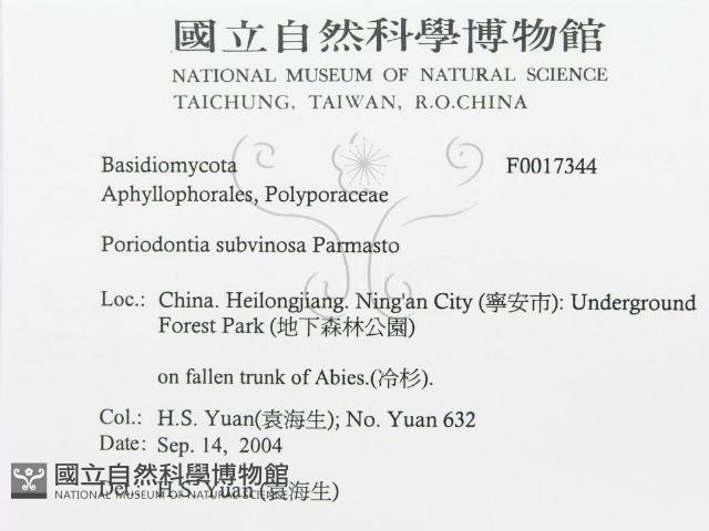 登錄號:F0017344藏品圖，第3張