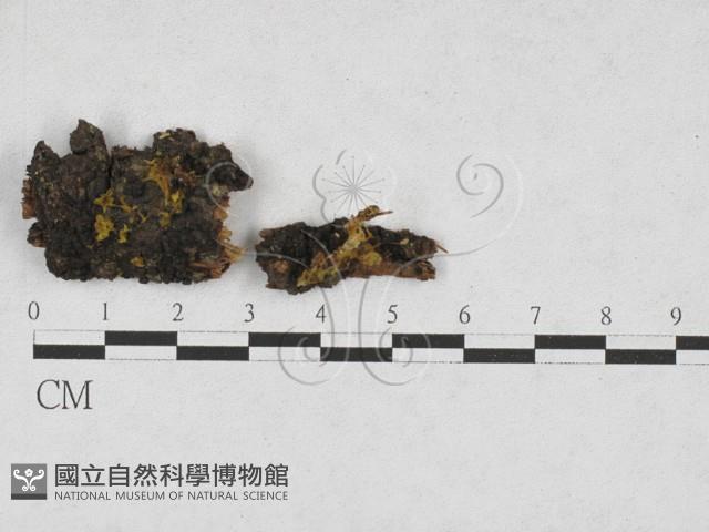 登錄號:F0028234藏品圖，第1張