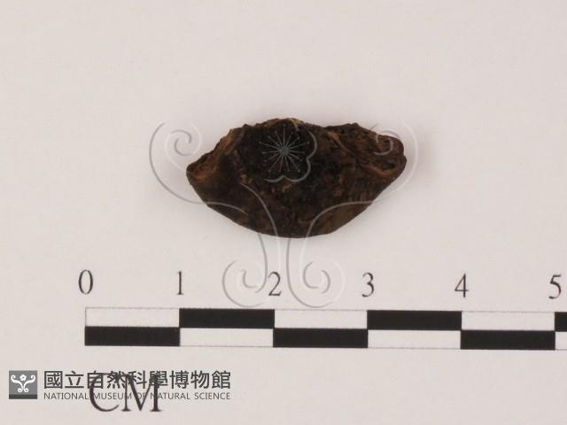 登錄號:F0002234藏品圖，第1張