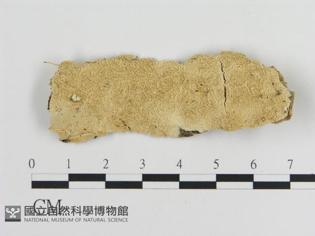 登錄號:F0017234藏品圖，第1張