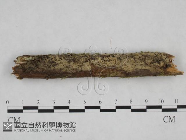 登錄號:F0024834藏品圖，第1張