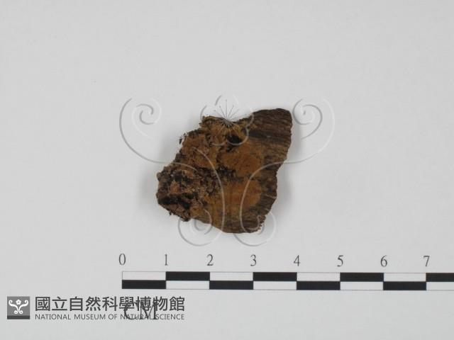 登錄號:F0017834藏品圖，第1張