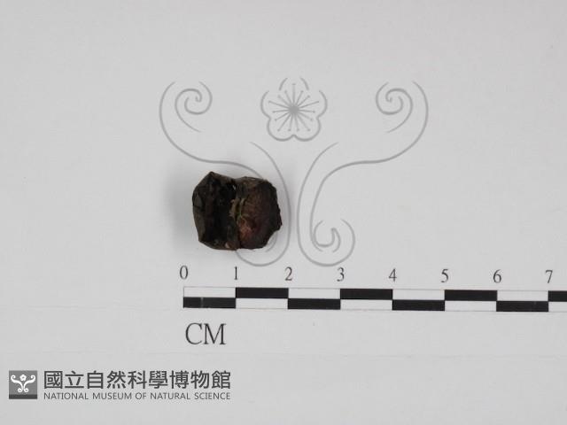 登錄號:F0030934藏品圖，第1張