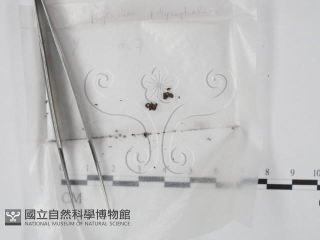 登錄號:F0002934藏品圖，第1張